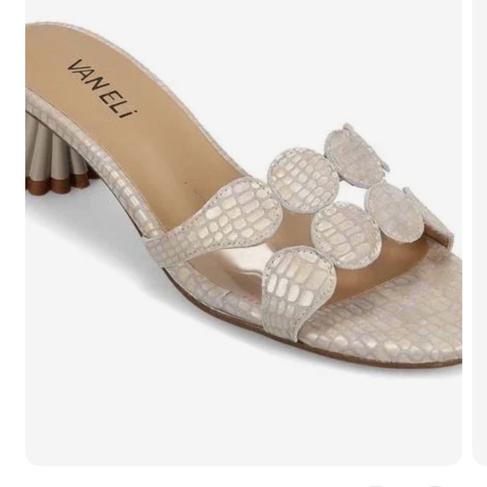 Vaeli slides.